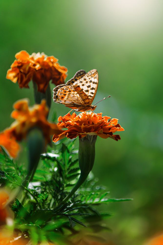 Фотография автора Оксана Ильченко