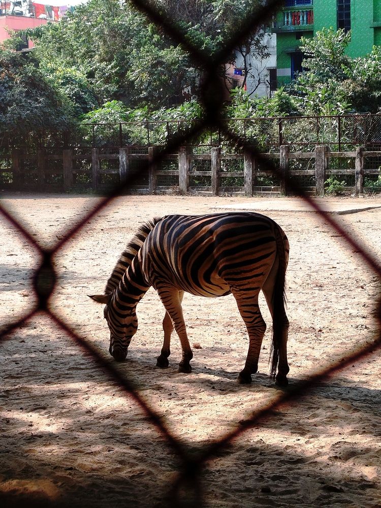 Photograph by Parvez Adiba