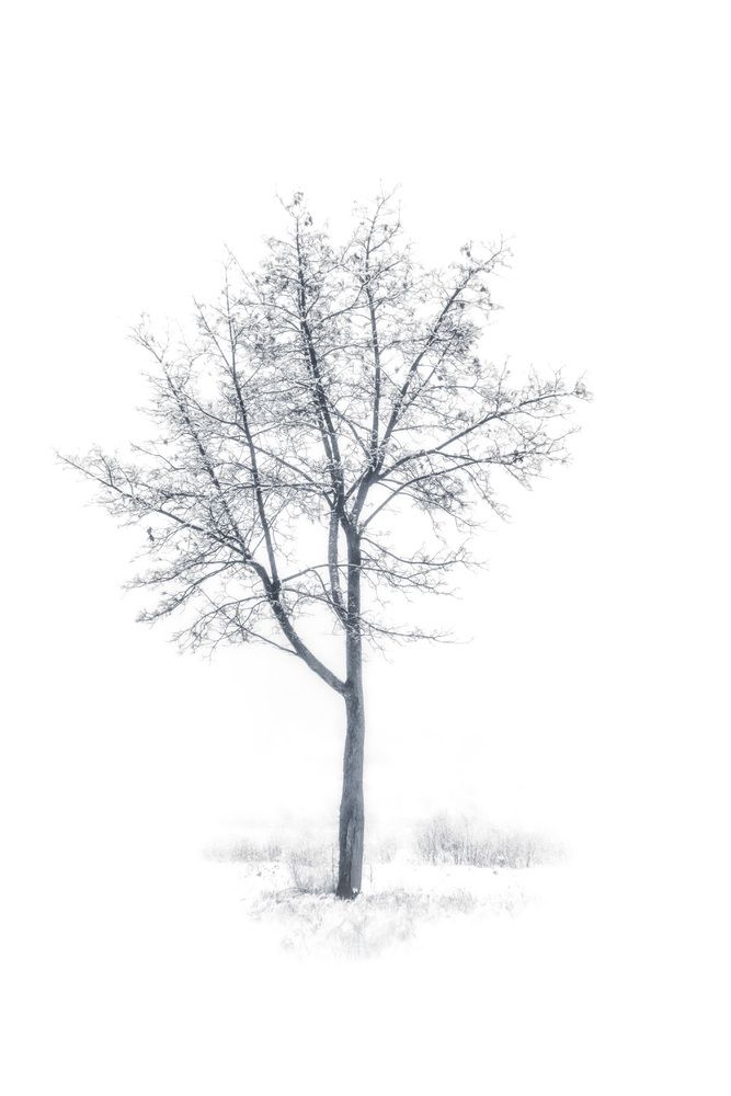 Photograph by Валерий Вторыгин