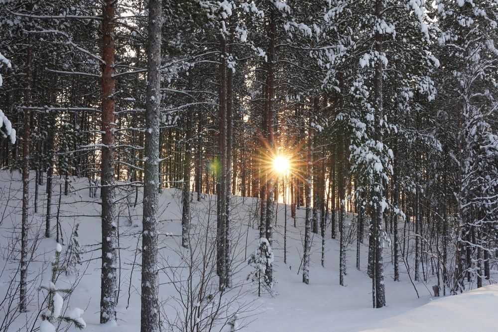 Photograph by Жанна Ляхова