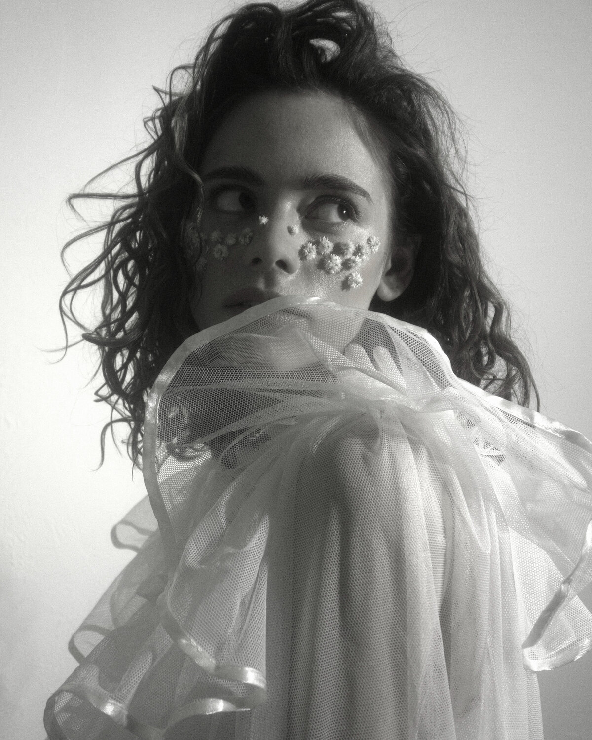 Photo #12028059