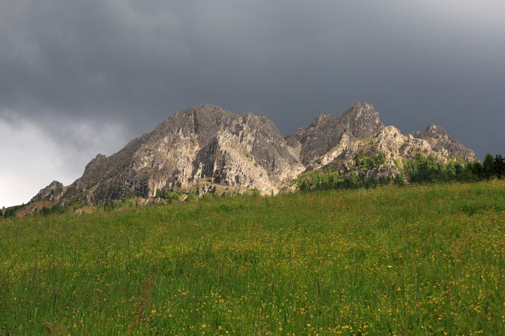 Photograph by Popa Alin