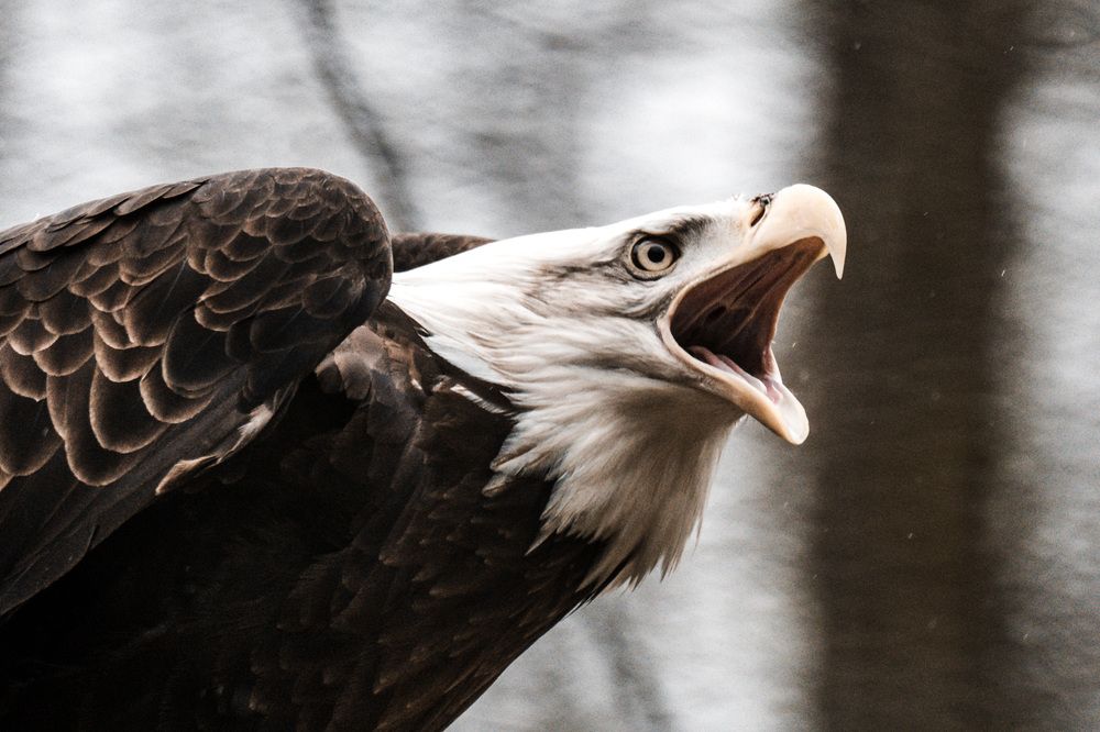 Photograph by Piotr Cichowski