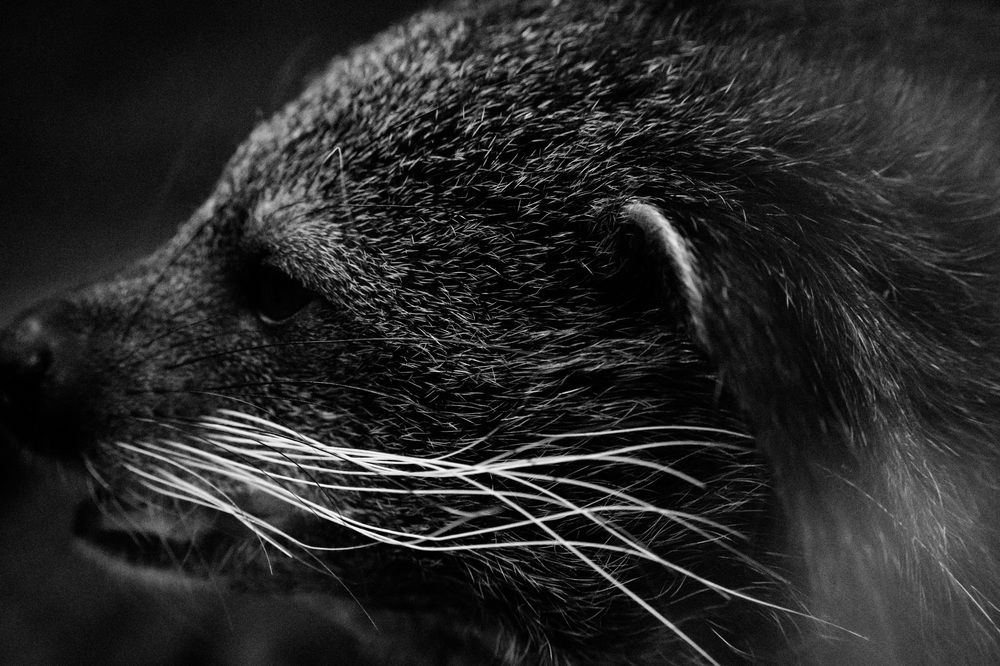 Photograph by Piotr Cichowski