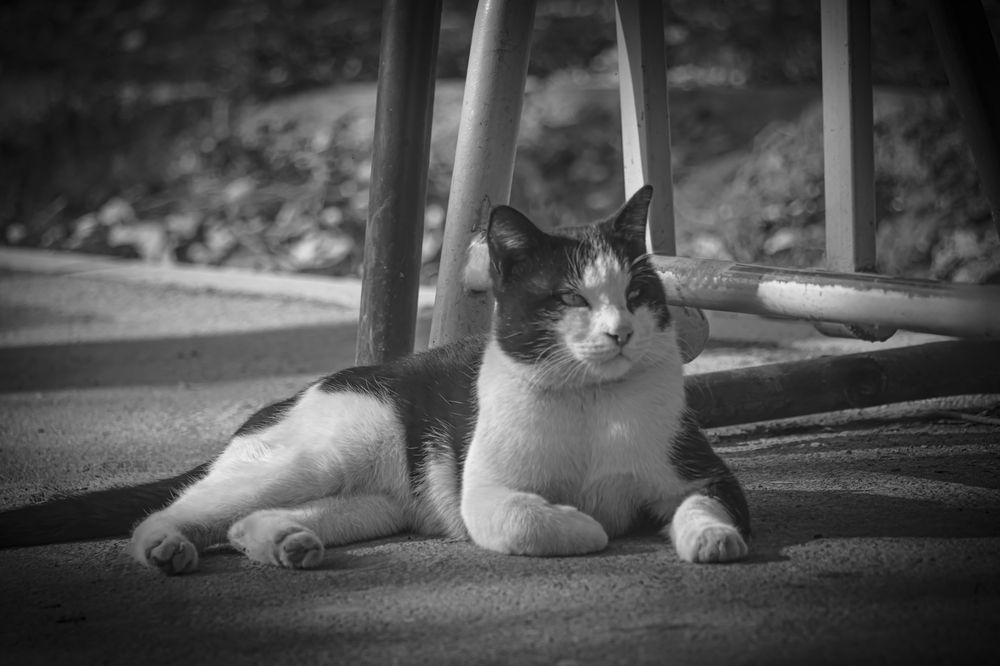 Photograph by Romina Moniri