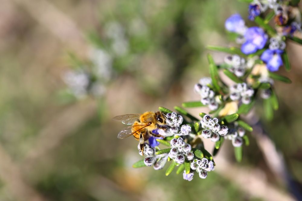 Photograph by Наталья Мутова