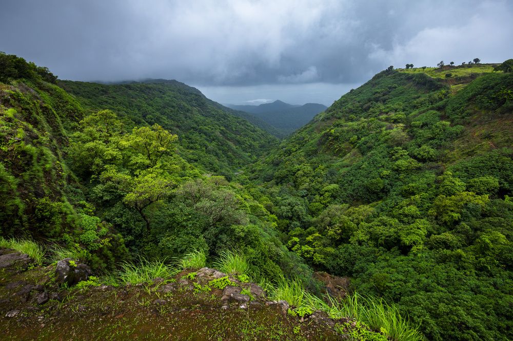 Photograph by Dhananjay Jadhav