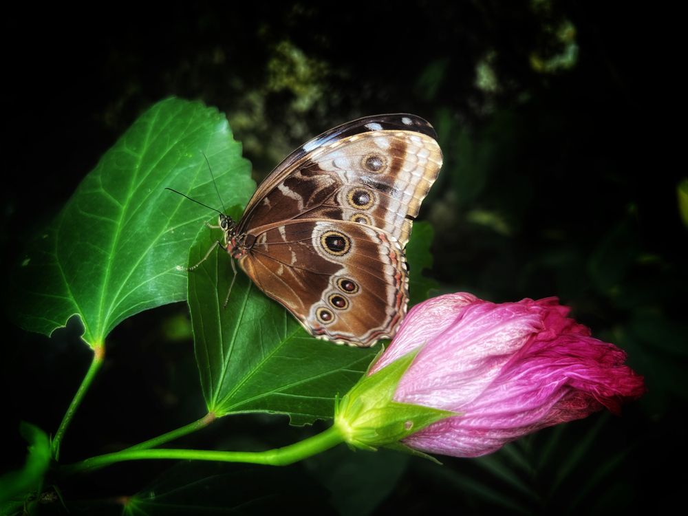 Photograph by Swetlana Lebedev