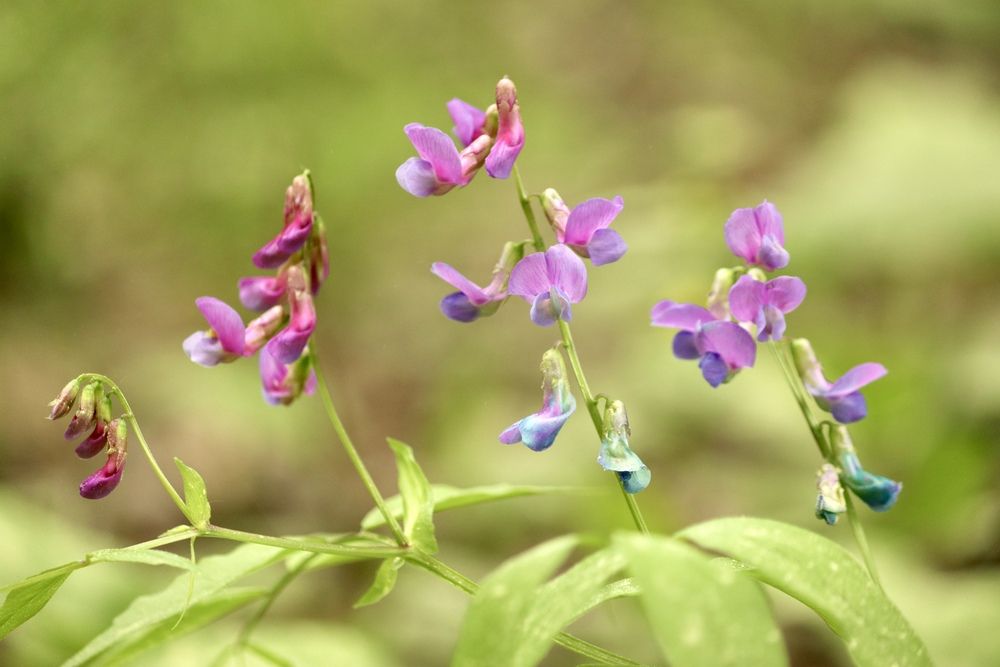 Photograph by Olga Bokareva