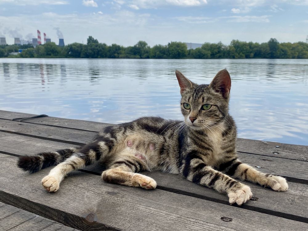 Photograph by Olga Bokareva