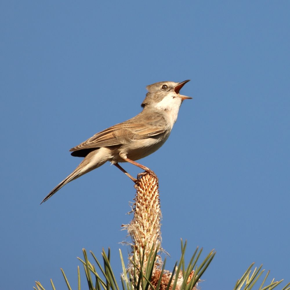 Photograph by Olga Bokareva