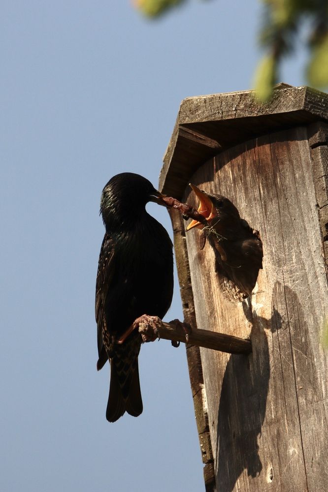 Photograph by Olga Bokareva