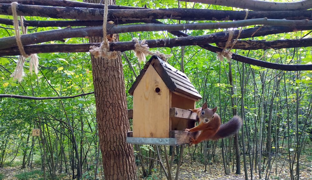 Поберегись! / Watch out!