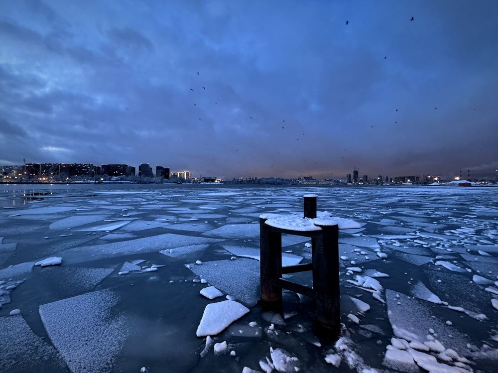 Photograph by Olga Bokareva