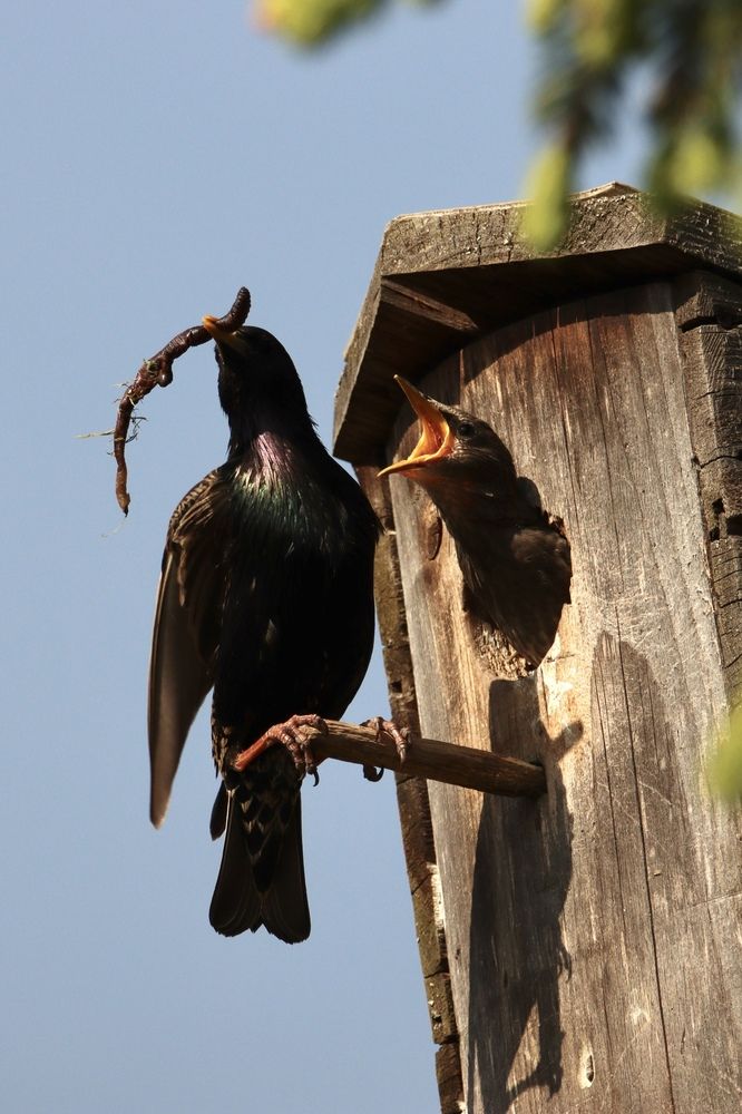 Photograph by Olga Bokareva