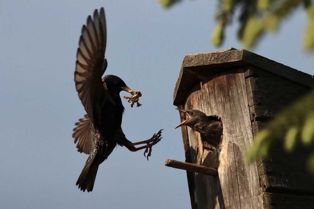 Photograph by Olga Bokareva