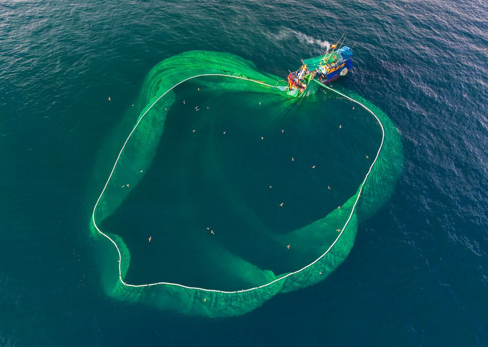 Dance of the fishing net