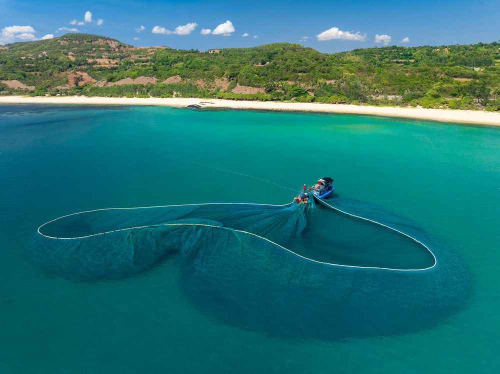 Fishing net collection