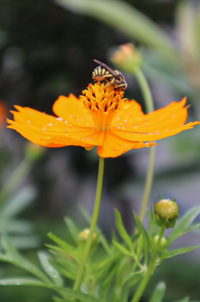 Photograph by Наиля Ахмедова