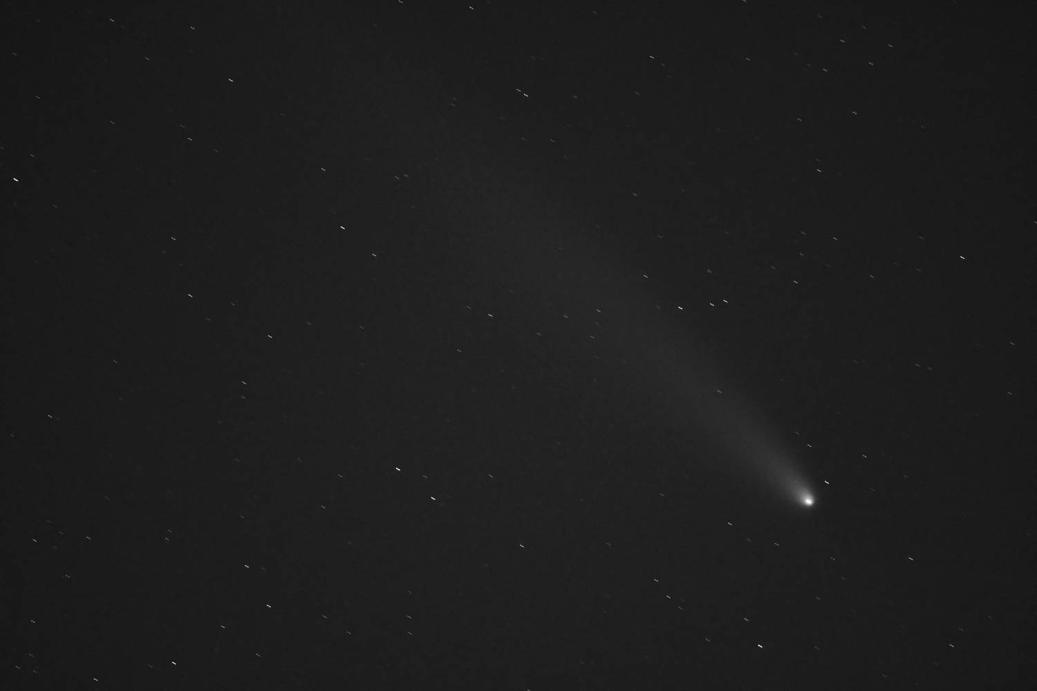 Photo #12028629