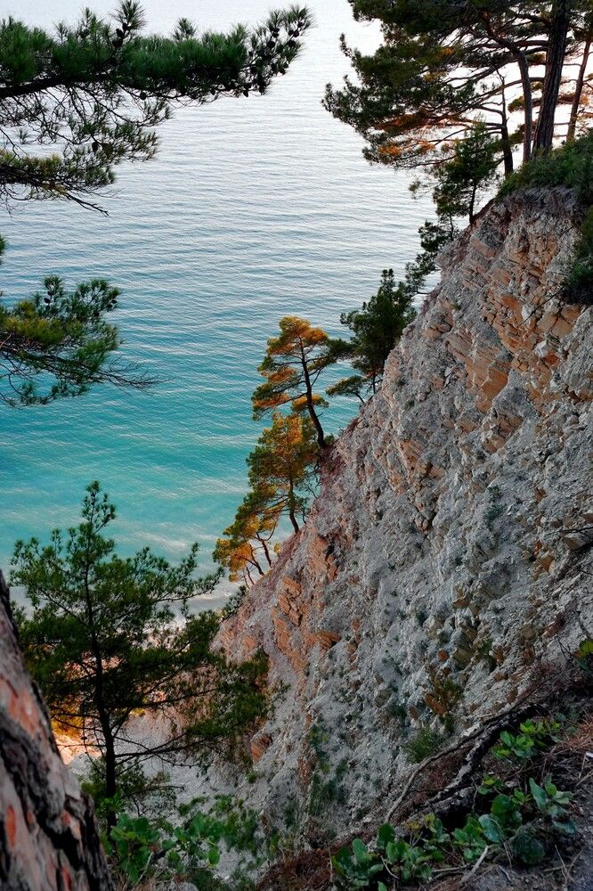 Photograph by Владимир kolpakov