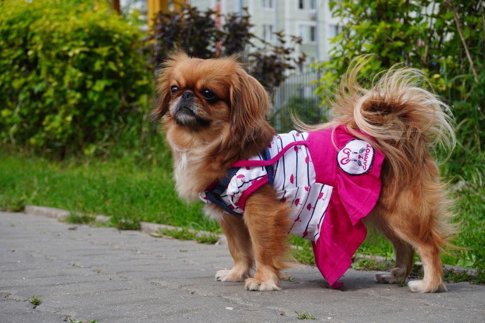 Меня любят за троих