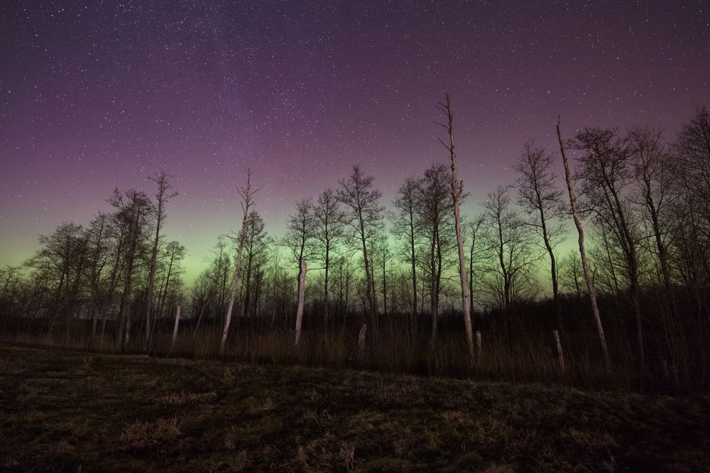 Northern lights and stars