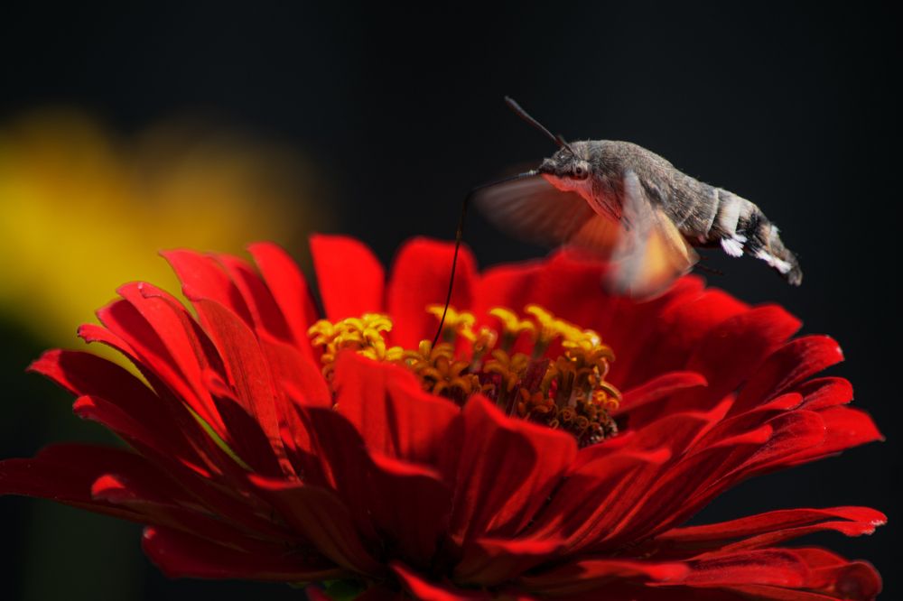 Фотография автора Оксана Ильченко