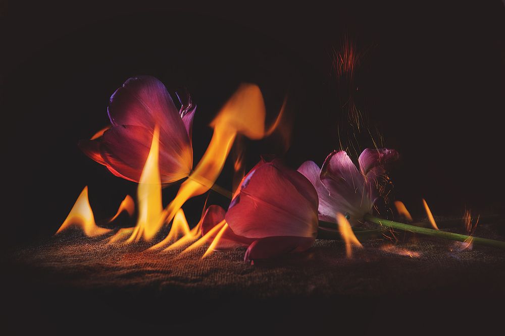 Photograph by Margarita