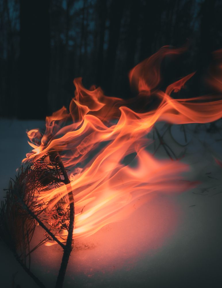 Фотография автора Дмитрий