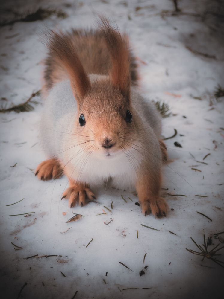 Фотография автора Дмитрий