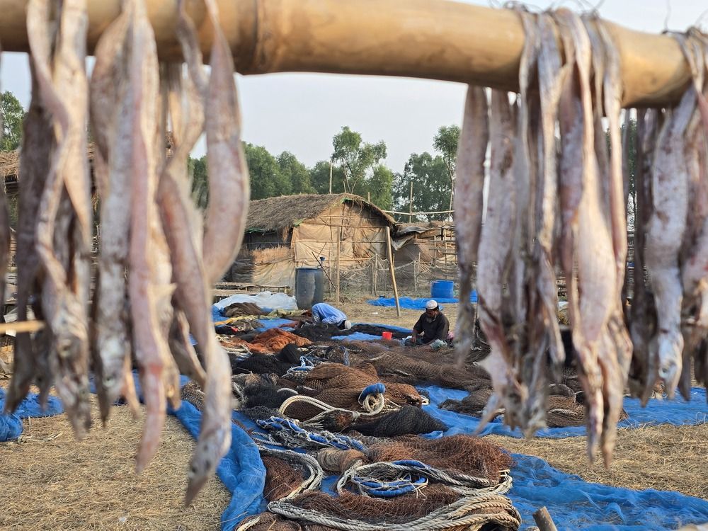 Photograph by Ehsan Biswas