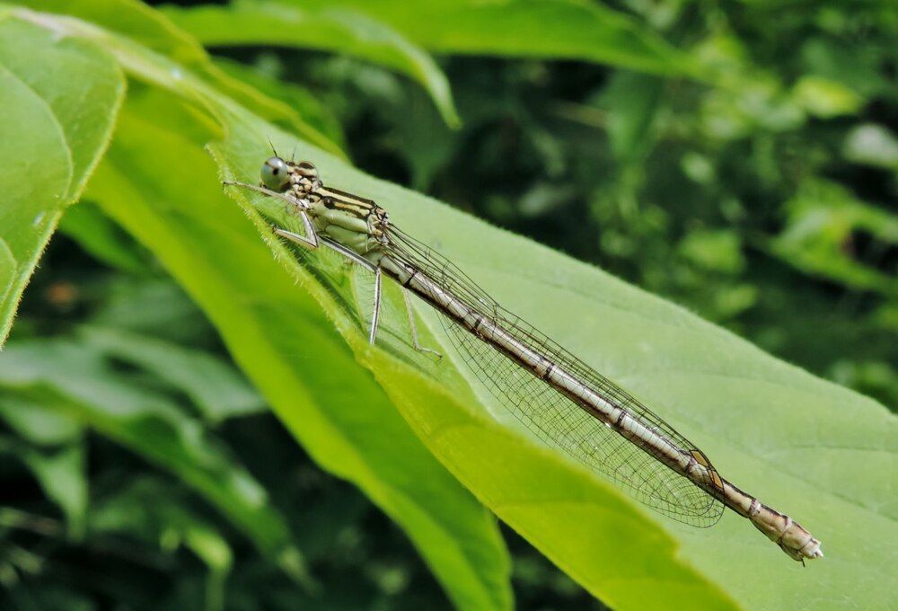Photograph by Павел Васильев