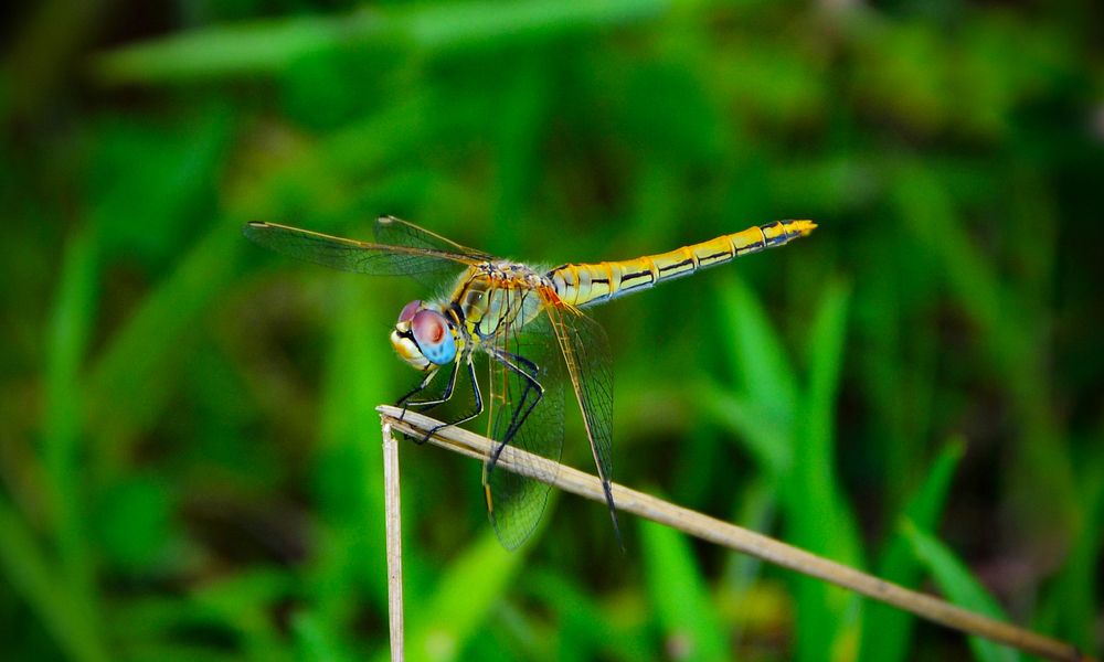 Photograph by Bekir Büyükgöz