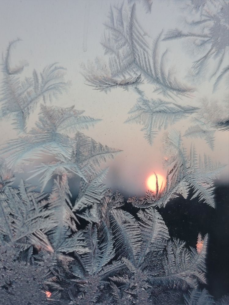 Photograph by Ольга Мокрова