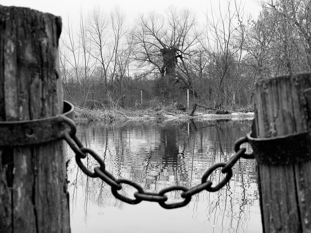 Photograph by Olga Bokareva