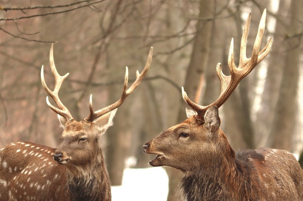 Photograph by Olga Bokareva