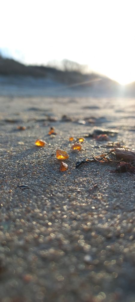 Фотография автора Екатерина Иванова