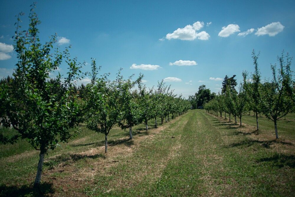 Photograph by Ольга Кривенцова