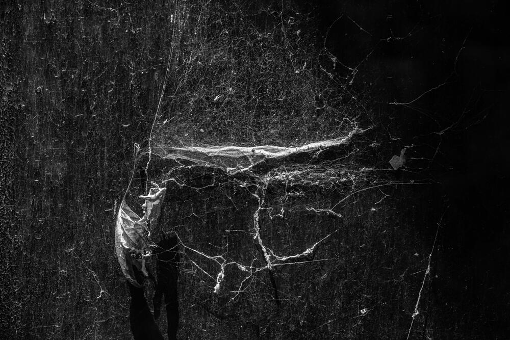 Photograph by Iman Barin