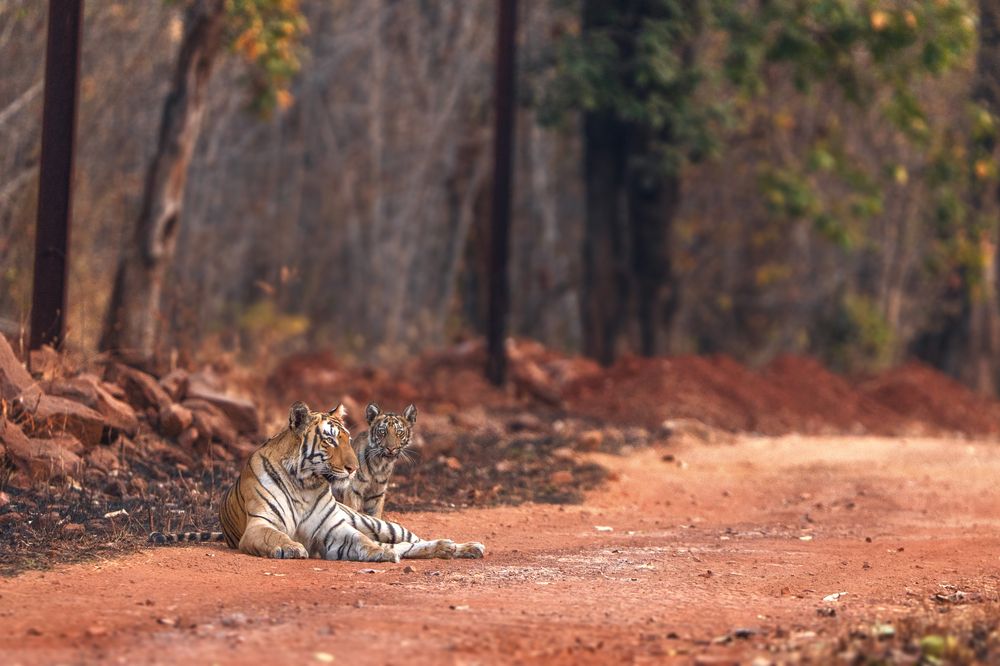 Фотография автора pratik deshpande