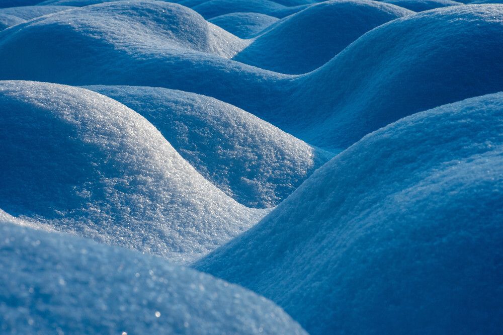 Фотография автора Калиногорский Юрий