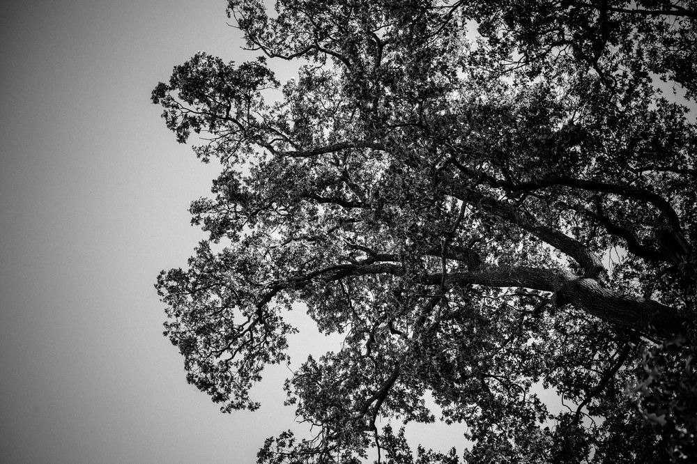 Photograph by Анна