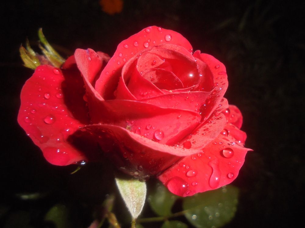 Photograph by Лилия Исхакова