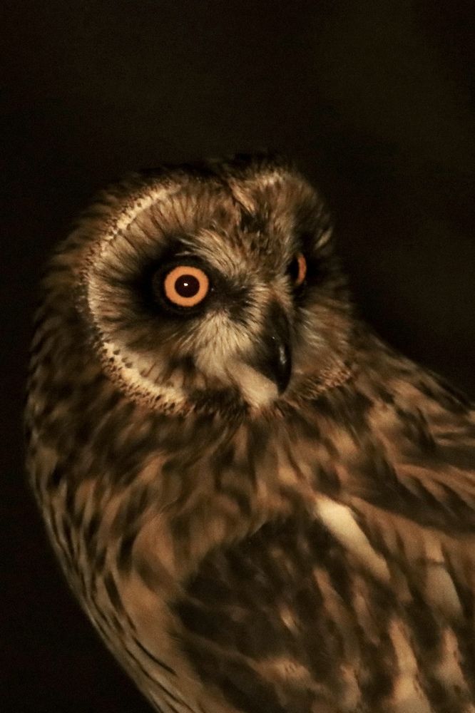 Photograph by Olga Bokareva