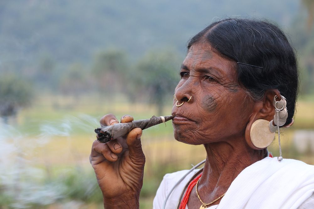 Фотография автора Mohana Murali Krishna Kavutharapu