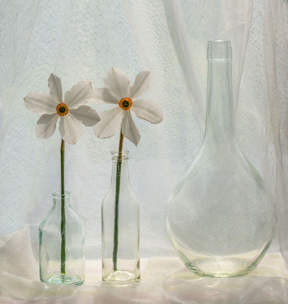 Фотография автора Tатьяна Дин