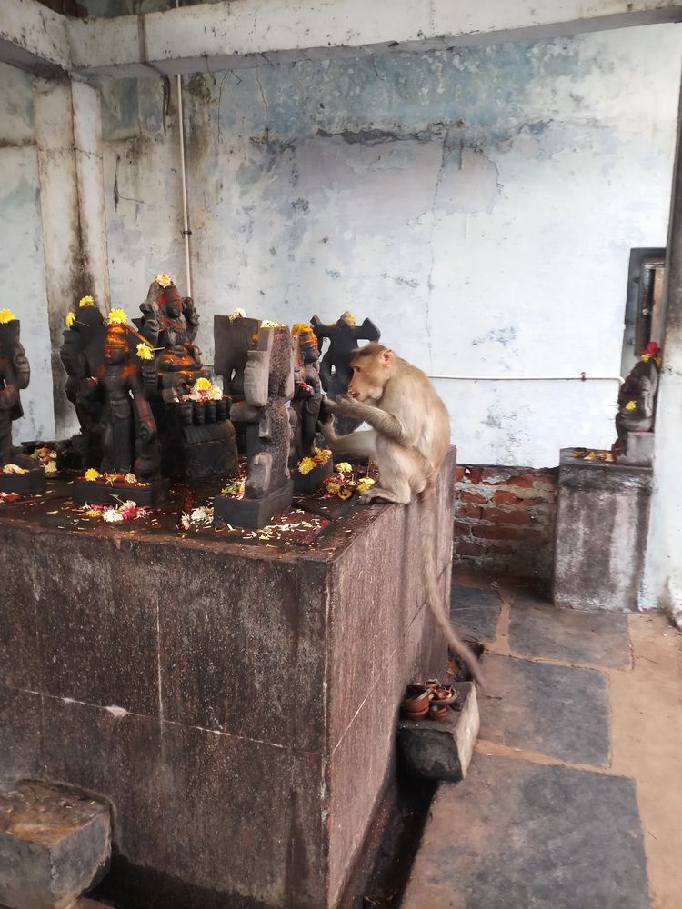 Photograph by B.Ramasubbaiah