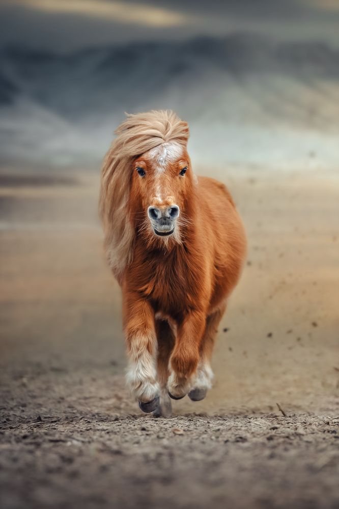 Фотография автора Kasia Kapała