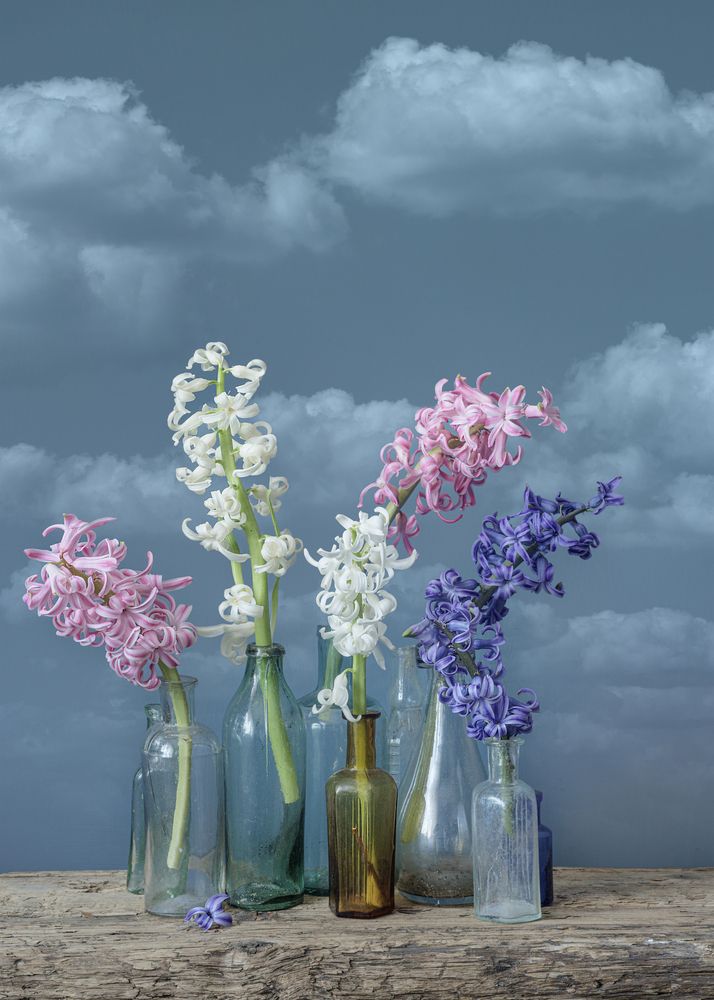 Фотография автора Julia Vikhrova